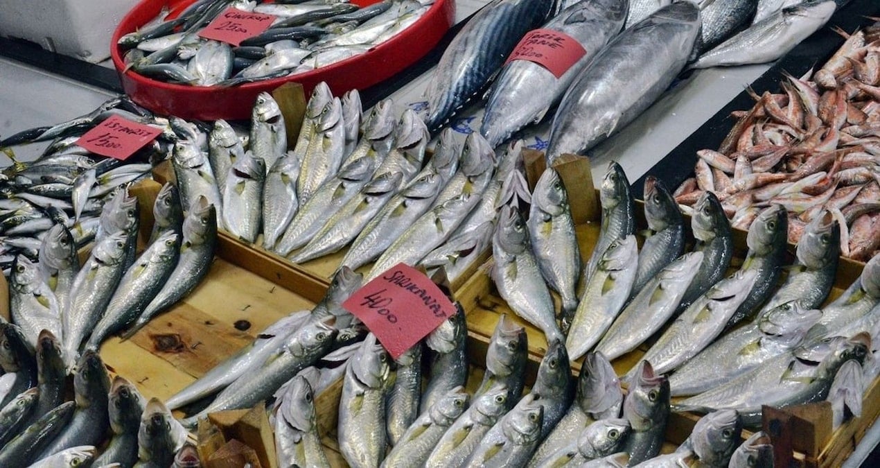 balikcilarin yuzunu gulduren haber geldi akin akin harekete gectiler murtNyig