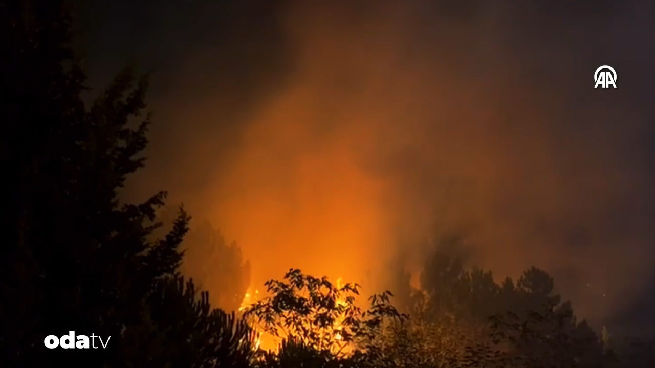 beykozda orman yangini AwbbB35L