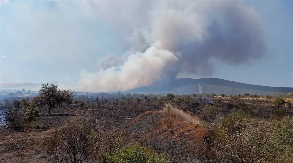 geliboluda tarim arazisinde yangin 7XlFi3MO