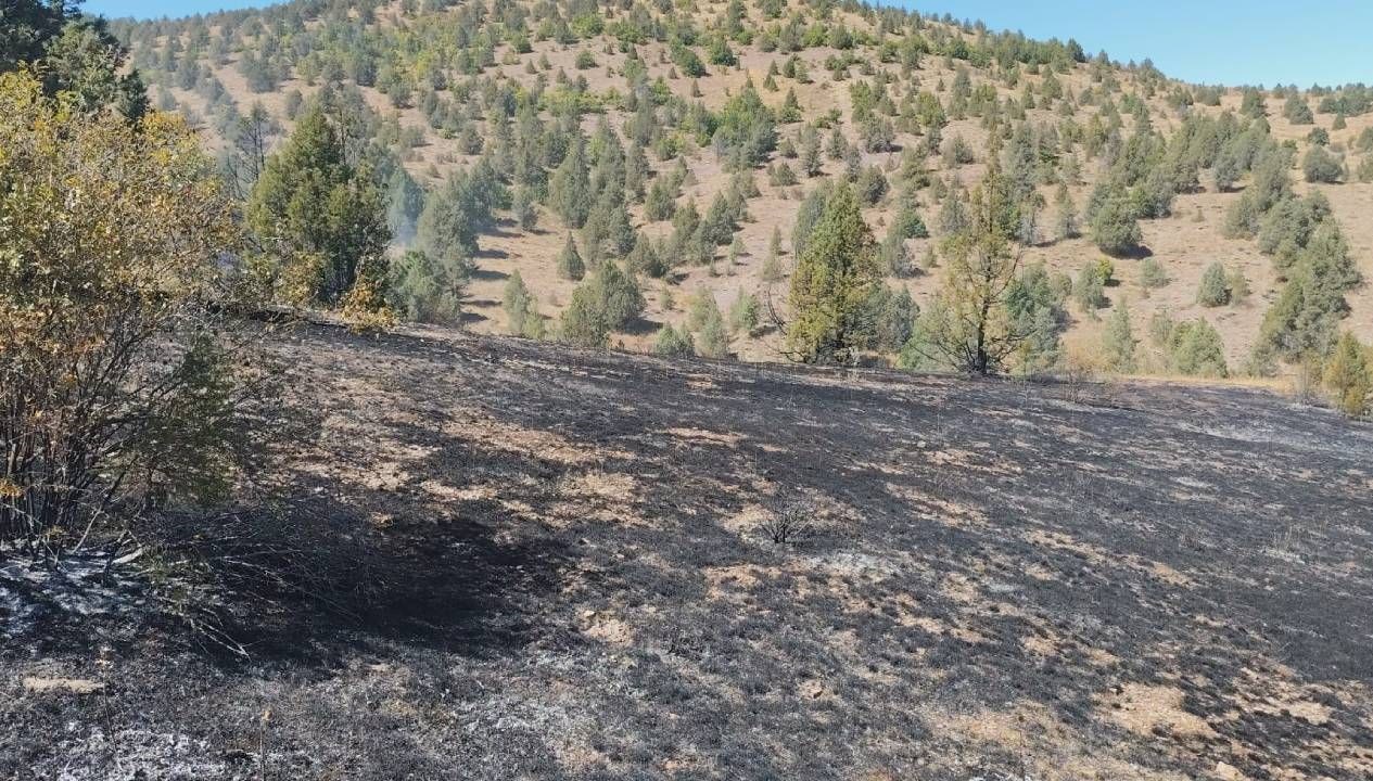 giresunda ortu yangini KZcnTfzx