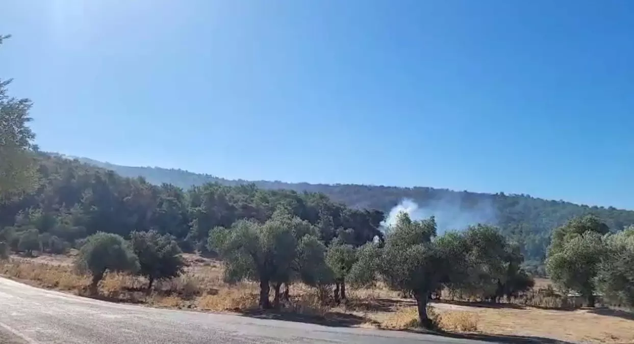 milasta orman yangini 2 gune girdi SMmFA9fJ