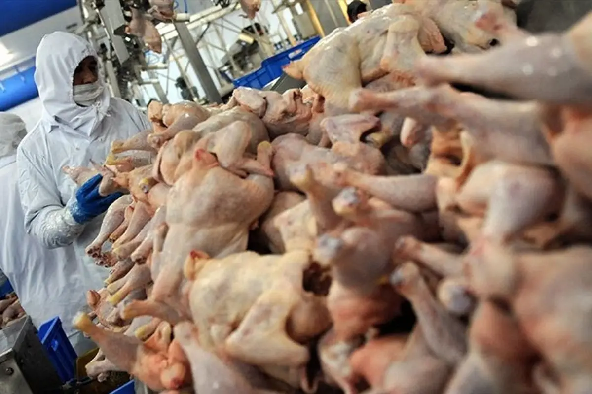 2 bin tondan fazla tavuk eti geri cagrildi iclerinden metal cikti SvCUY9fp.jpg