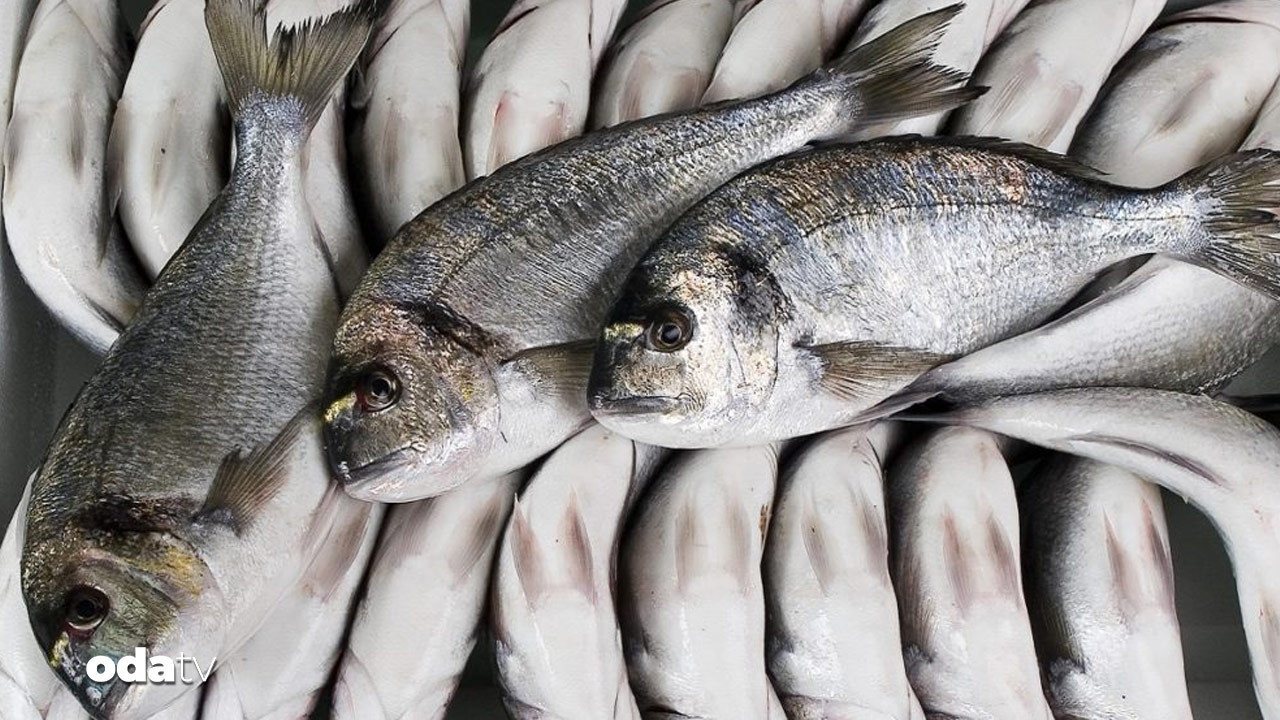 cupra ile darp edildi sikayetci oldu peCHiukF