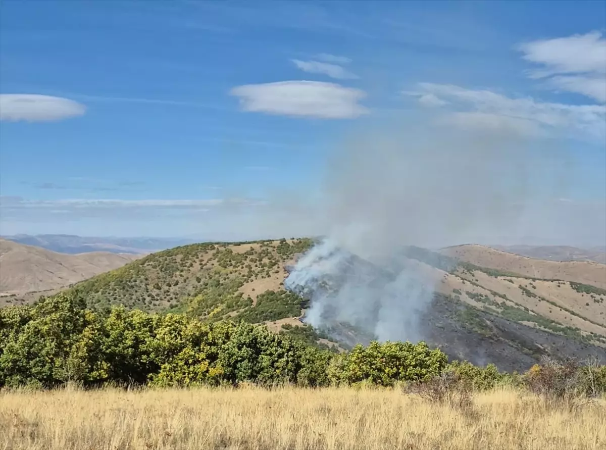 gumushanede orman yangini sonduruldu B4RJCC1d