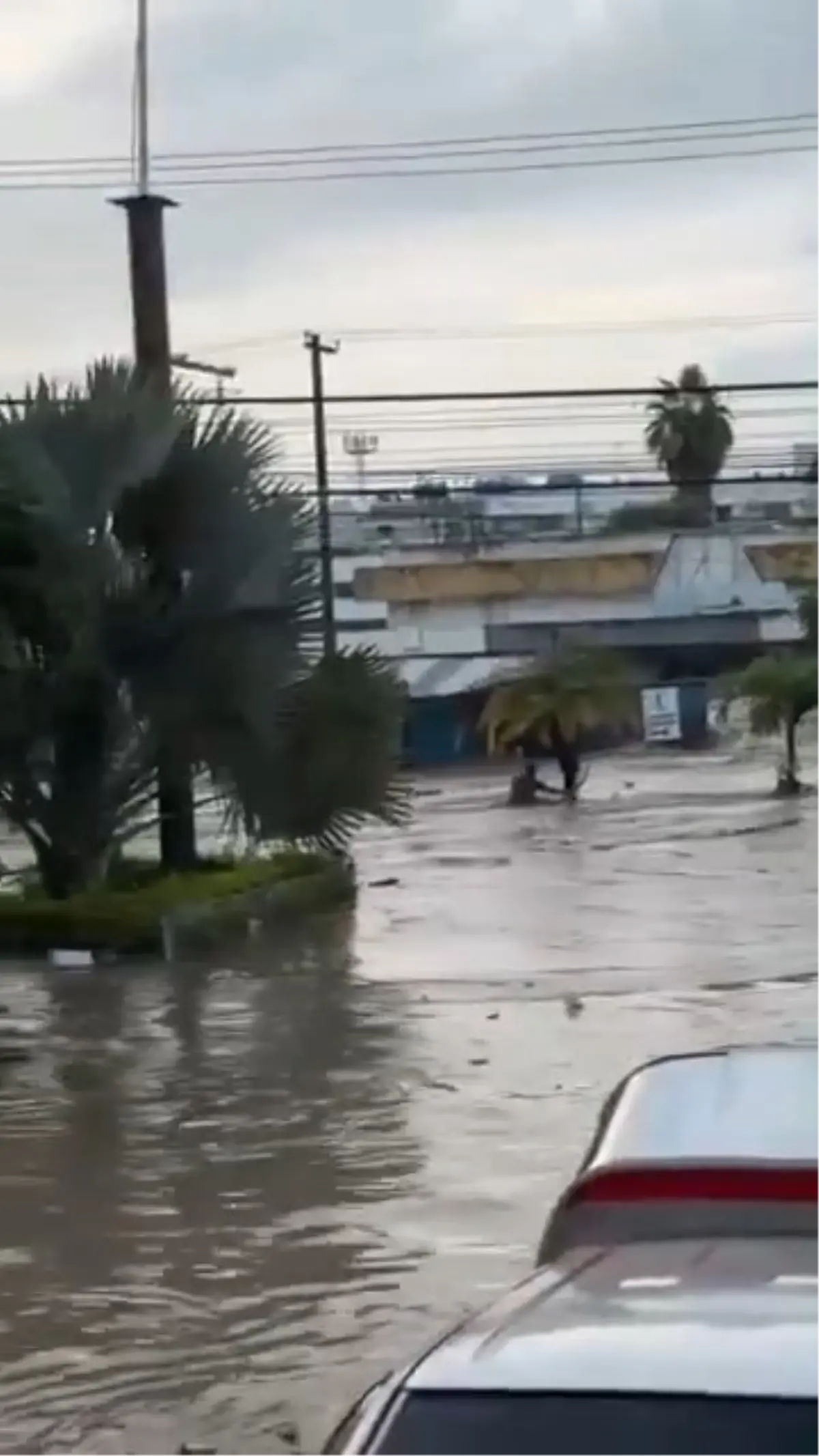 meksikada siddetli yagislar sele neden oldu 41 olu 4n1f6ujJ.jpg