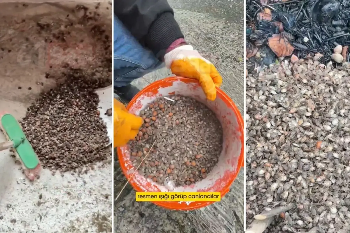 turkiyenin oteki gundemi son virajdayiz diyen vatandastan endiselendiren sozler lfznnRnn.jpg