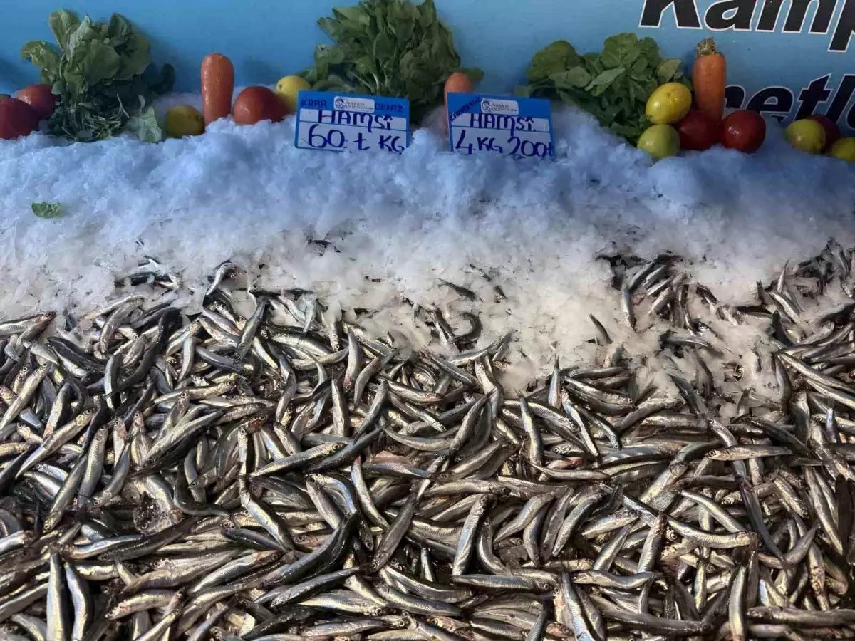 hamsi fiyatlarinda dusus devam ediyor 4yDc3f3Q.jpg