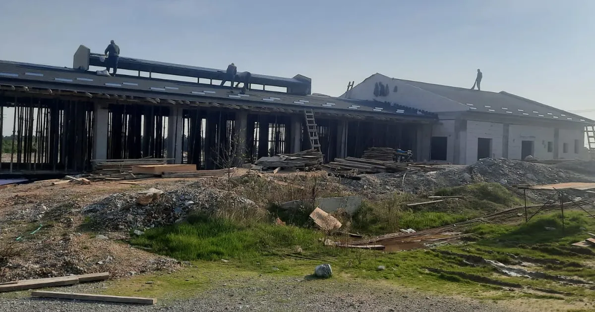 izmitten sokak hayvanlarina modern yasam alani hfjZmLU5.webp