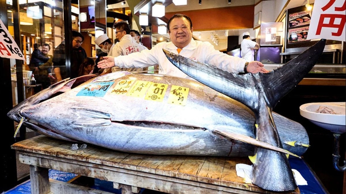 Japonya’da mavi yüzgeçli orkinos açık artırmada 3,2 milyon dolara satıldı