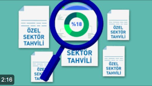 Özel Sektör Borçlanma Araçları Analizi