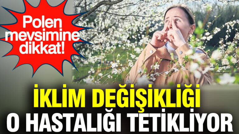 iklim-degisikligi-o-hastaligi-tetikliyor-polen-mevsimine-dikkat-m6fAJB8X