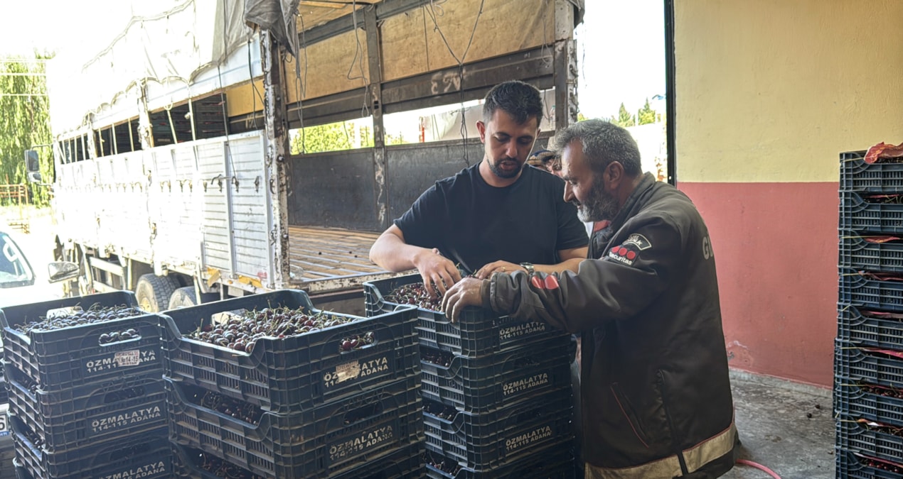 Fabrikalar sıraya girdi: Hasat edilen ürün 40 liradan kapışılıyor Haber gorseli