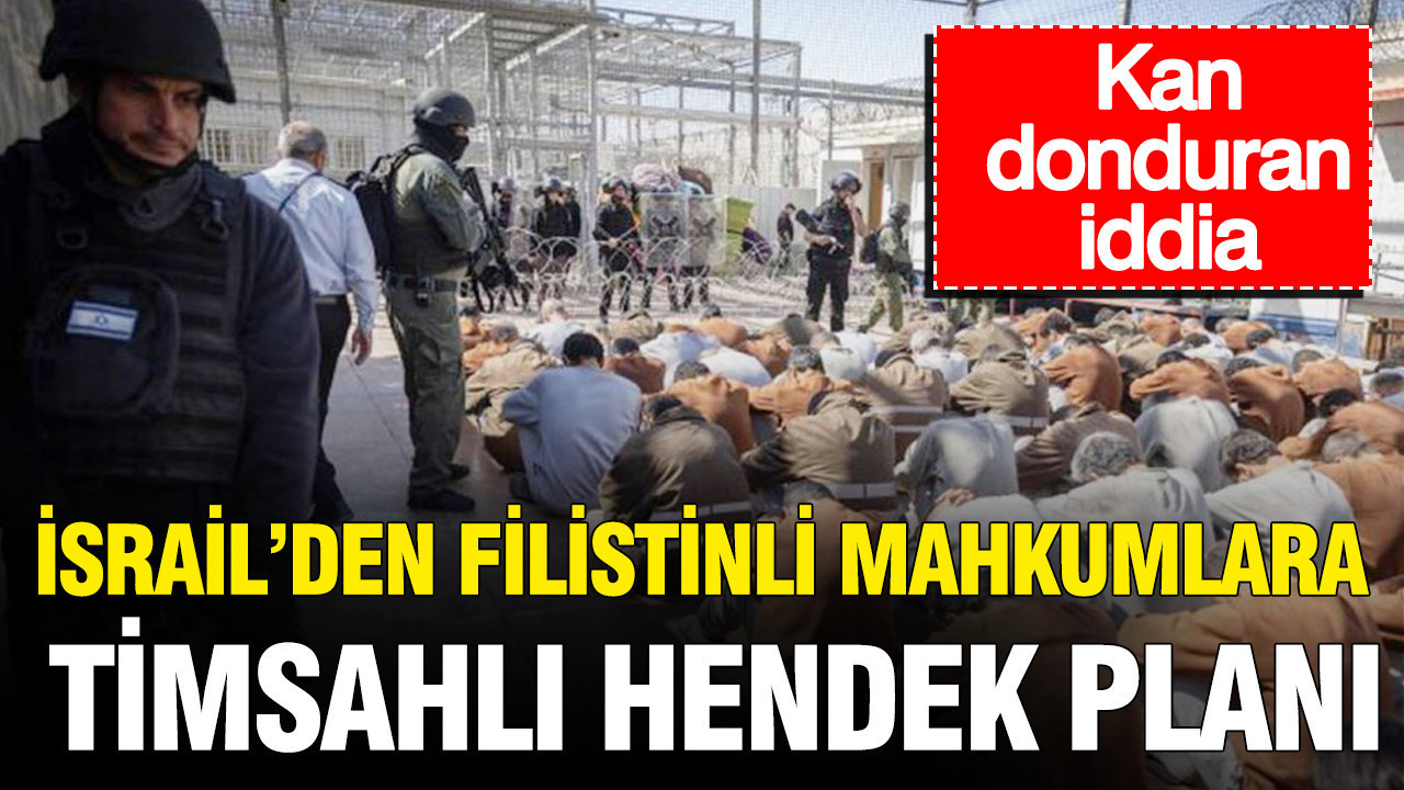 İsrail’den skandal plan: Filistinli mahkûmlar için timsahlı hendek hazırlığı Img
